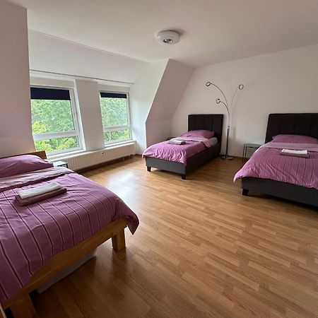 Grosses Apartment Im Dg Leipzig Dış mekan fotoğraf